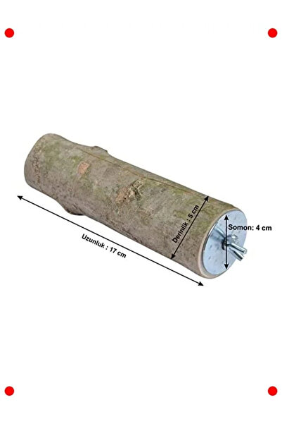 NETWORK ART Natural Wood Parrot Perch 17 cm