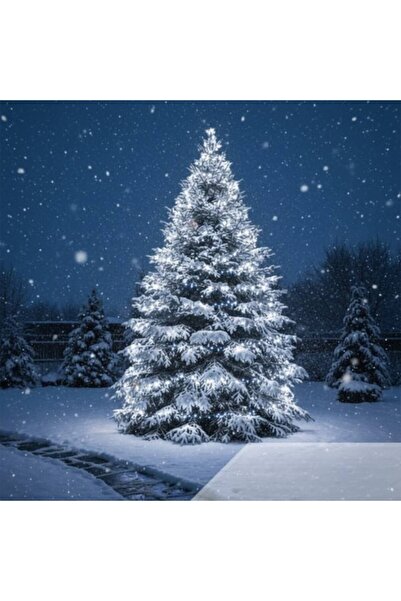 varioshop Christmas light string, 500 LEDs, cool white, 35 m, 8 modes, IP44, indoor/outdoor