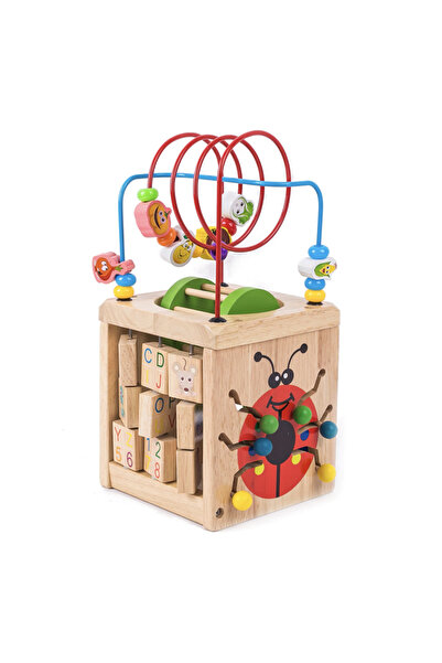 Krista Cub de activități 6 în 1 cu cilindru, Buburuză, din lemn