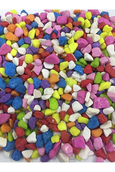 Dekora Çiçek Akvaryum Teraryum Fanus Vazo Süsleme Bahçe Süs Dekor Renkli Çakı...