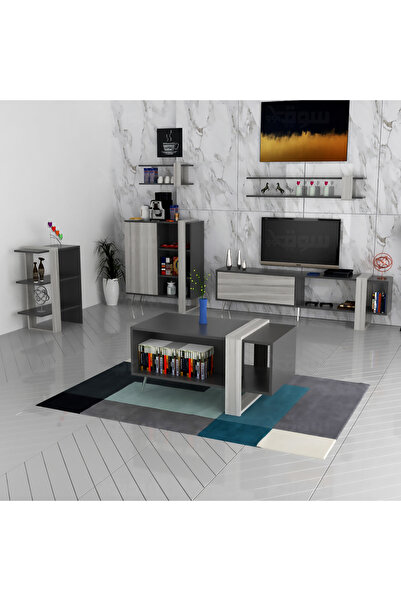 Stylish Home White and gray TV and coffee table set - SH19