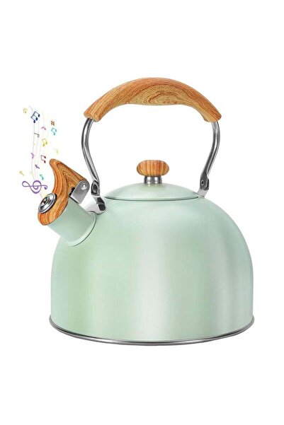 COOYA Tea Pot, Whistling Tea Kettle with Heat Resistant Handle, Stove-top Kettle for Coffee and Tea, 2.5L