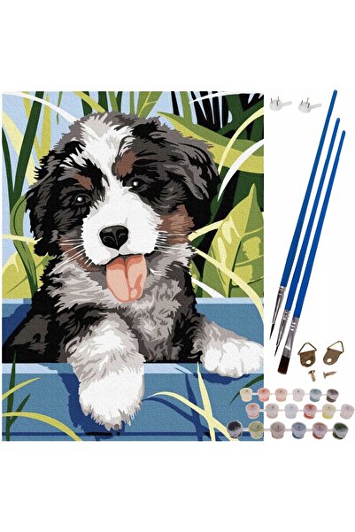 zola Number painting set for children and adults with watercolours, Zola, canvas 40×30cm, Happy puppy