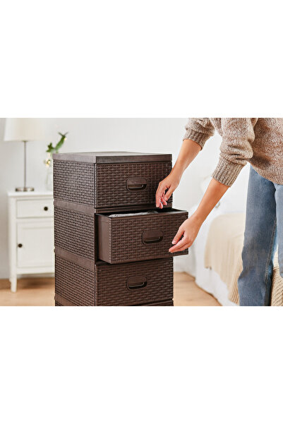 Selgot Plastic Chest of 4 Drawers, Brown, 38 x 45 x 90 cm