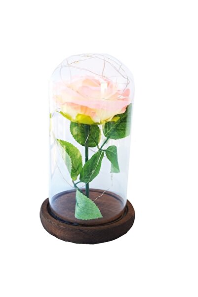 OEM Trandafir în cupolă de sticlă, textil, roz cu lumină LED, 21x11x9 cm