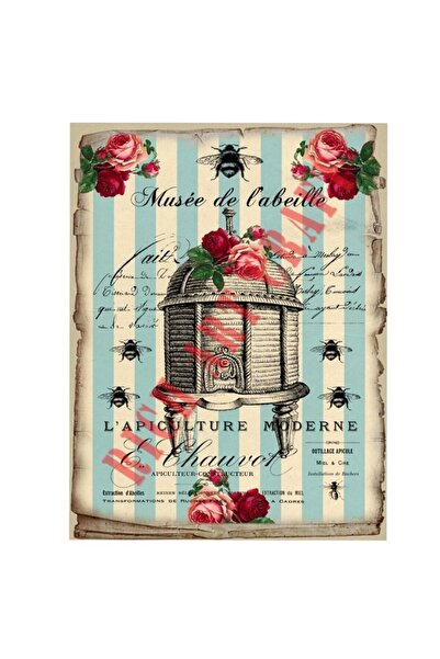 Rich KOLAY TRANSFER BÜYÜK KOYU ZEMİN 6310