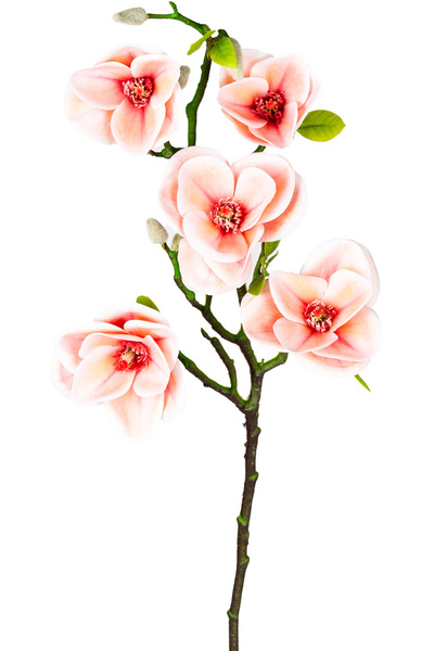 Herdekora Yapay Manolya Dalı, Pembe - 75 cm