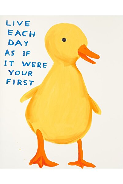 Taranist David Shrigley Kağıt Poster Illüstrasyon Sarı Ördek