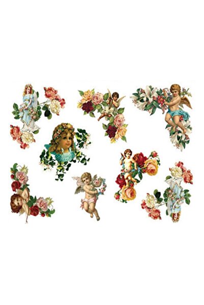 Rich KOLAY TRANSFER BÜYÜK KOYU ZEMİN 6236