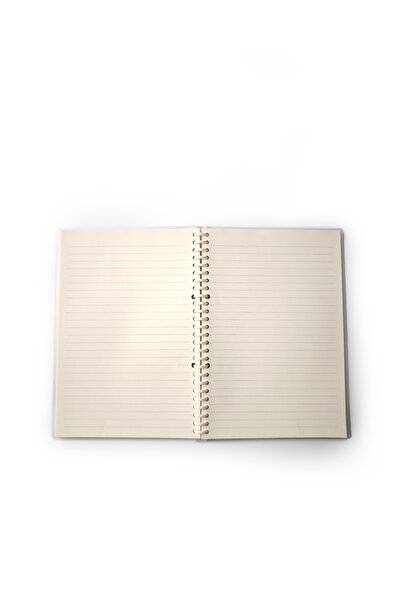 YOYOSO Capybara Spiralli B5 Defter Kahve