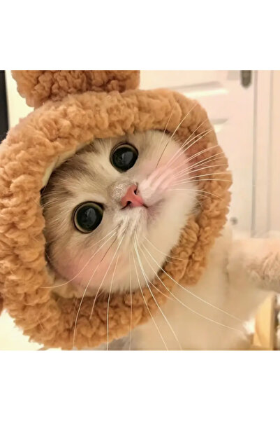 KAYHN 🐾KYHN- Sevimli Pofuduk Kedi Beresi Kedi Şapkası – Sıcak Ve Yumuşak
