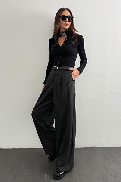 5in1Canpolat Antrasit Maskülen Çizgili Pantolon 1599