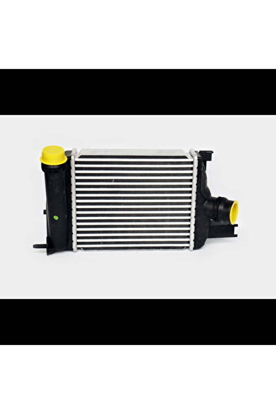 OEM Intercooler Dacia Dokker 2012 -> 1.6 benzina Magneti Marelli