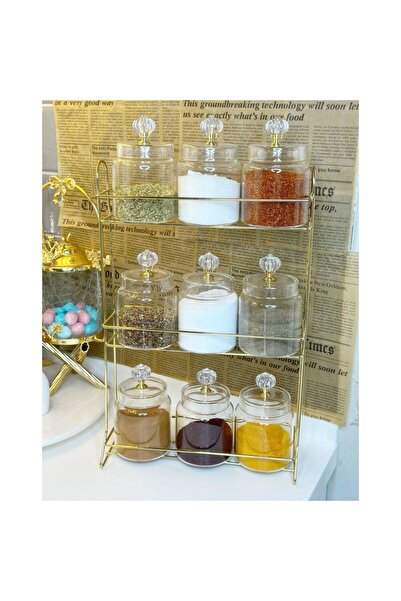 Reoona Bri̇an 9-Piece Glass Spice Set