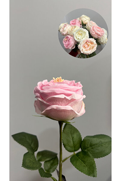 Santara زهرة الياقوت الاصطناعية الوردية الرطبة المستوردة من الدرجة الأولى (قطعة واحدة)