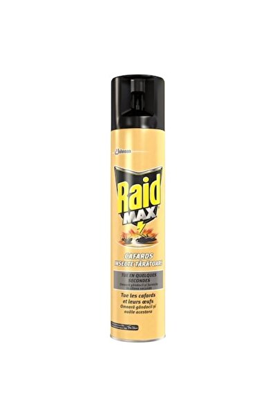 Raid Max 300 ml crawling insect spray with long‑lasting action