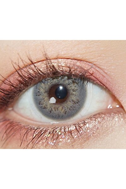 Fresh Lady Foggy Gray Gray colored contact lenses, complete package with solution and case