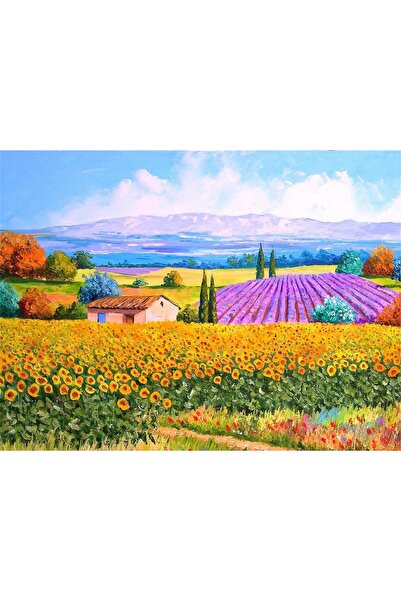 Choice25 أحجية صورية (بازل) بمناظر طبيعية ريفية، 46 × 28 سم، 500 قطعة، مصنوعة...