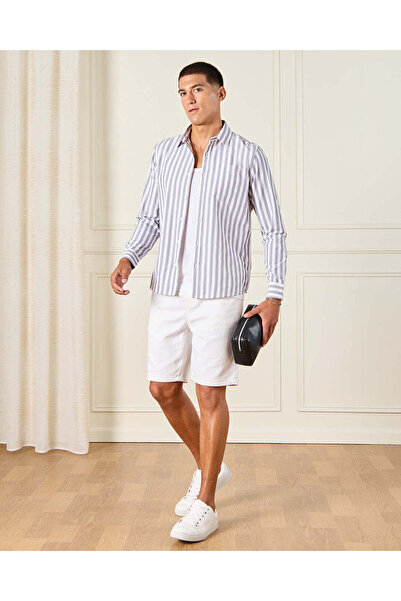 REDTAG Men Blue Striped Formal Shirt