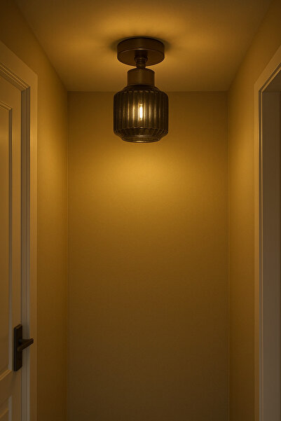 Uçar Eriksen Modern Tasarım Antre Hol Mutfak Çocuk Odası Plofonyer Tavana Sıfır Minimal Camlı Tekli Avize