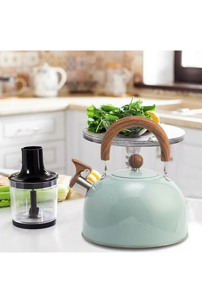 KTT Stainless Steel Teapot Mixed Color Stylishly Designed Functional Product