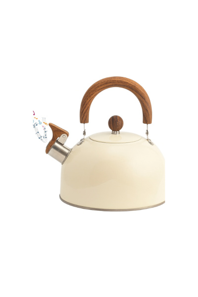 KTT Stainless Steel Teapot Mixed Color Stylishly Designed Functional Product