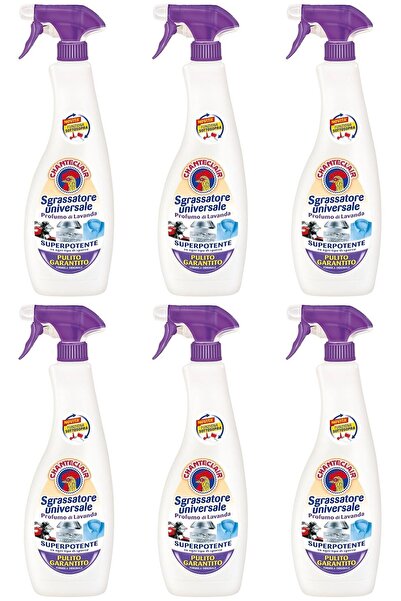 chante clair Set 6 x Degresant universal Lavanda ChanteClair, 600 ml