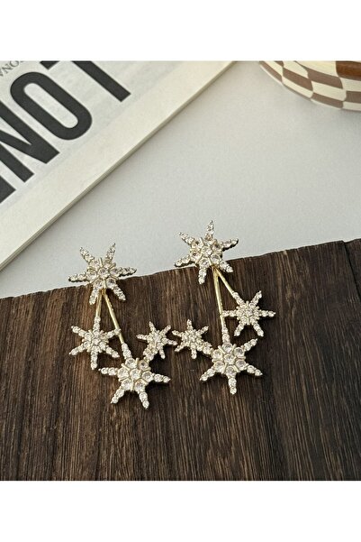 H&S AKSESUAR Vip Special Design Zircon Stone Star Earrings