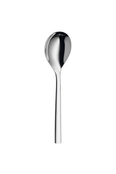 Hype Store Steel Serving Spoon