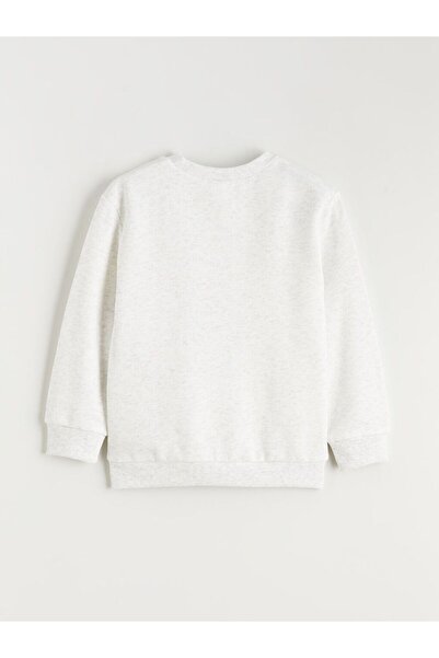 LC Waikiki Lcw Baby Printed Male Child Long-Sleeve Sweatshirt