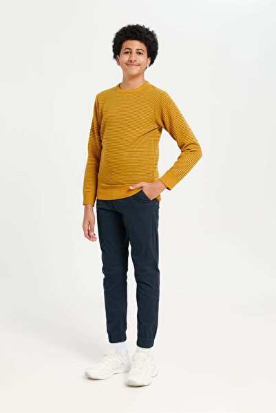 REDTAG Senior Boys Mustard Knitted Pullover