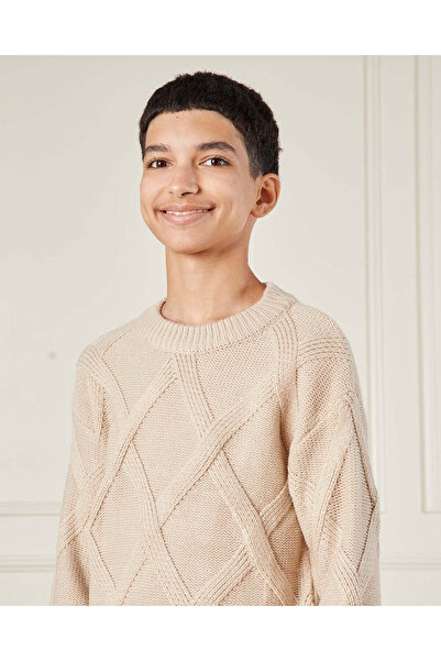 REDTAG Senior Boys Beige Cable Knitted Pullover Sweater