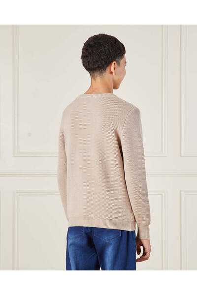 REDTAG Senior Boys Beige Pullover Sweater