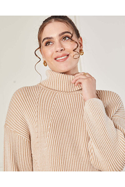 REDTAG Women Brown Turtle Neck Knitted Pullover