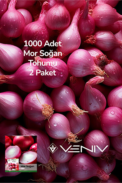 VENİV AGRİCULTURE 1000 Adet Mor Soğan Tohumu 2 Paket