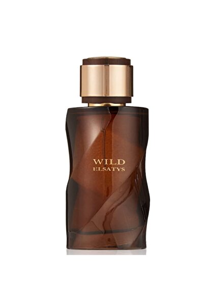 Reyane Tradition Wild Elsatys – 100ml Eau de Parfum (Men)