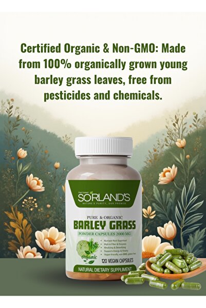 Sorland s Organic Barley Grass Capsules – 120 Vegan Capsules Pure & Natural Green Superfood