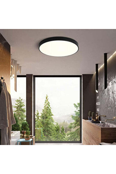 RFAN LED Ceiling Light, Round, Matt, 30W, Cold Light, 6500K, Black