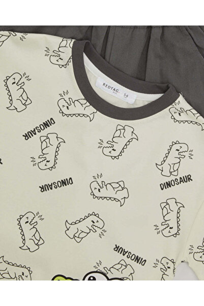 REDTAG Boys Grey Dino Printed Casual Set (2 Piece)