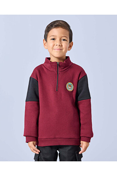 REDTAG Boys Burgundy High Neck Sweatshirt