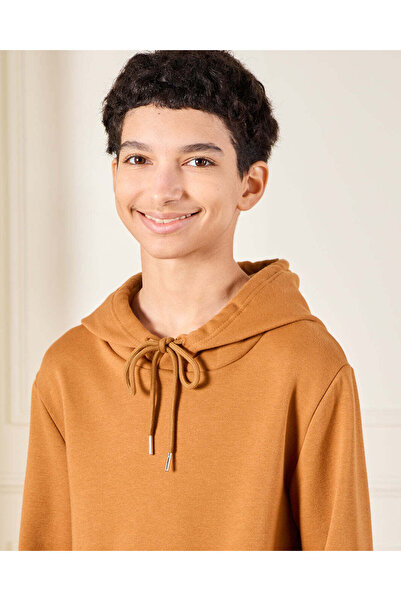 REDTAG Senior Boys Brown Hooded Sweatshirt