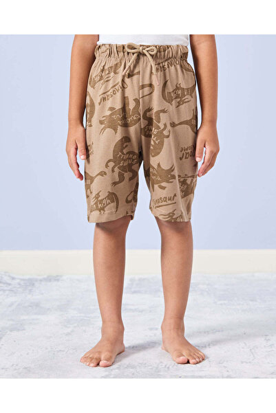 REDTAG Boys Brown Dino Print Pyjama Set (2 Piece)