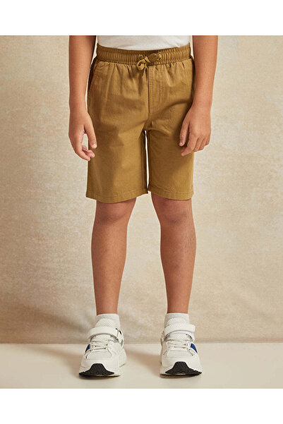 REDTAG Boys Brown Solid Shorts
