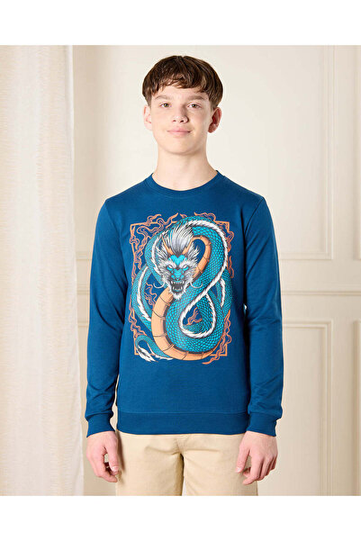 REDTAG Senior Boys Blue Dragon Printed Sweatshirt