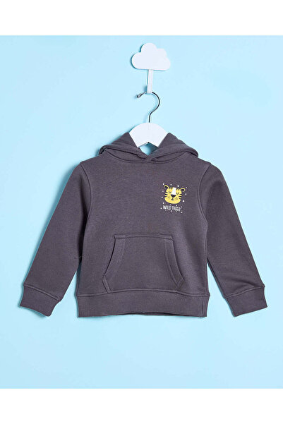 REDTAG Infant Boys Grey Wild Tiger Hooded Sweatshirt