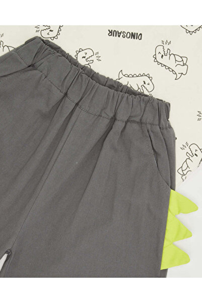 REDTAG Boys Grey Dino Printed Casual Set (2 Piece)