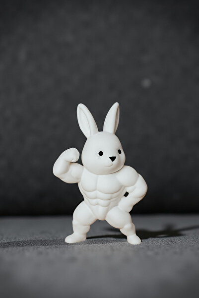 SHHOBİ Sweet Rabbit Glove Box Ornament Showing Arm Muscles - Fitness Rabbit G...