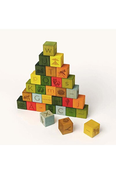 Guga Gaga Wooden cubes with Romanian alphabet