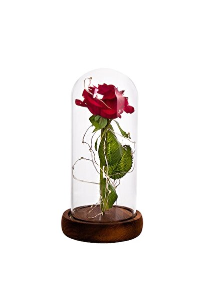 OEM Rose in glass dome, textile, red, with LED light, 21x11x9 cm