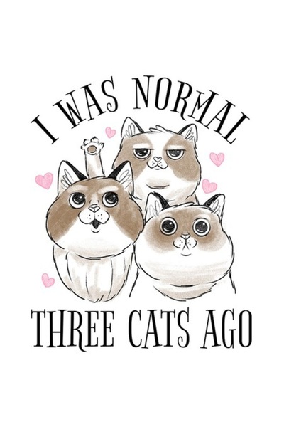 OEM Αυτοκόλλητο «Ήμουν φυσιολογικός πριν από τρεις γάτες» – Γάτες, λευκό περί...
